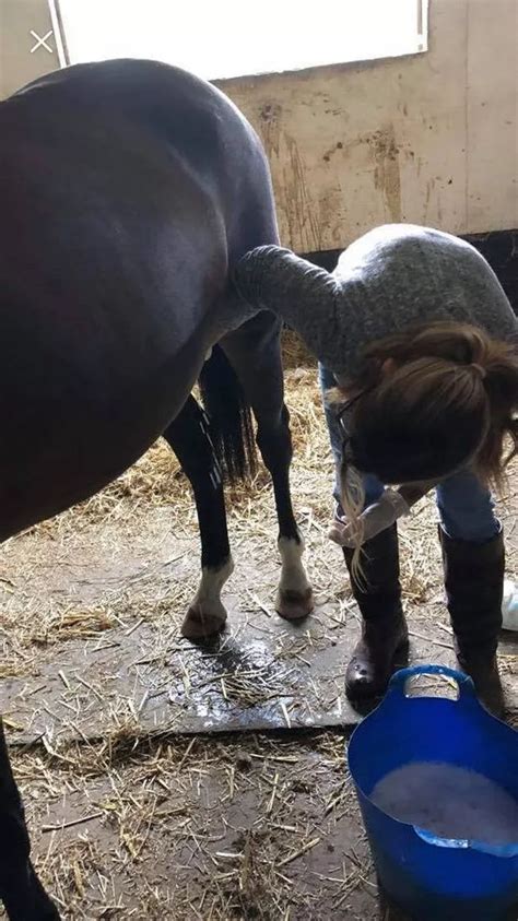 Her horse kept touching her butt, so she caught her horse in